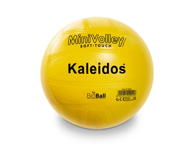 02021 - MINI VOLLEY KALEIDOS SIZE 5